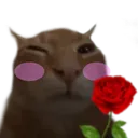 buhFlower