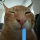 BUHRAINROT