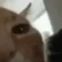 buh2