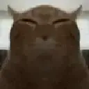 uhhu uhhu