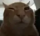 buhHyper