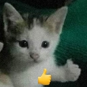 :emoji_11: