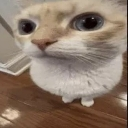 :emoji_12: