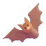 Bat