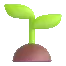 Seedling
