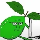 :emoji_25: