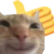 catthumbsup