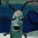 Plankton