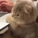 angry_5