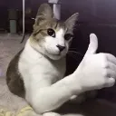 ThumbCat ThumbCat