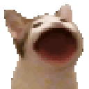 popoop Discord emoji