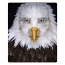 aguilaseria Discord emoji