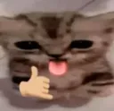 emoji_1771648160963