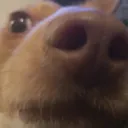 peek