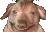 creaturePretendingToBeHappyWhile