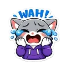 sadcat sadcat