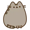 pusheen