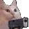 CatGun