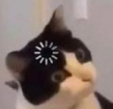 c16 Discord Emoji from 𝐋𝐨𝐓𝐟𝐢 𝐂𝐨𝐦𝐦𝐮𝐧𝐢𝐭𝐲