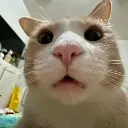 shocked