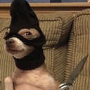 15 custom emote - 𝐋𝐨𝐓𝐟𝐢 𝐂𝐨𝐦𝐦𝐮𝐧𝐢𝐭𝐲