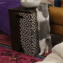 Screenshot20260222at124145am