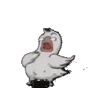 shocked_goose
