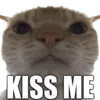 CatKissMe_wc