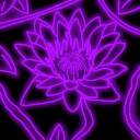 :MI_Lotus_Pictures_logo: