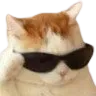 CatCool_wc