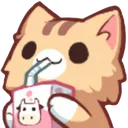 catsip