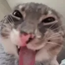 frek