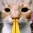 brotha_please