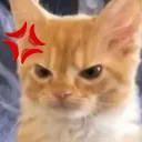 kit_grr