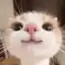 kit_smil