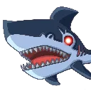 Shark Shark