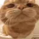kit_youthere