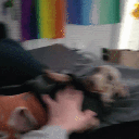 wiggle