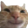 39143catsmile custom emote - Finn's Friendlings