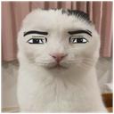 2278manfacecat custom emote - Finn's Friendlings