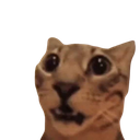 5110catsurprised custom emote | Finn's Friendlings