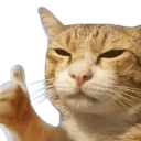 5426catliked Discord sticker from Finn's Friendlings