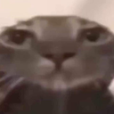 7436catbruh Discord sticker from Finn's Friendlings