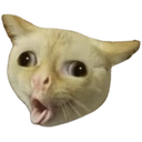 8479pukecat Discord sticker from Finn's Friendlings