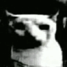 8944catdespair Discord Emoji - Finn's Friendlings