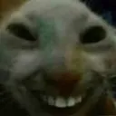 xdd