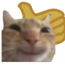 CatSmilling