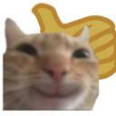 :CatSmilling: