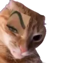 rizzcar rizzcar