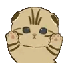 :wigglecat: